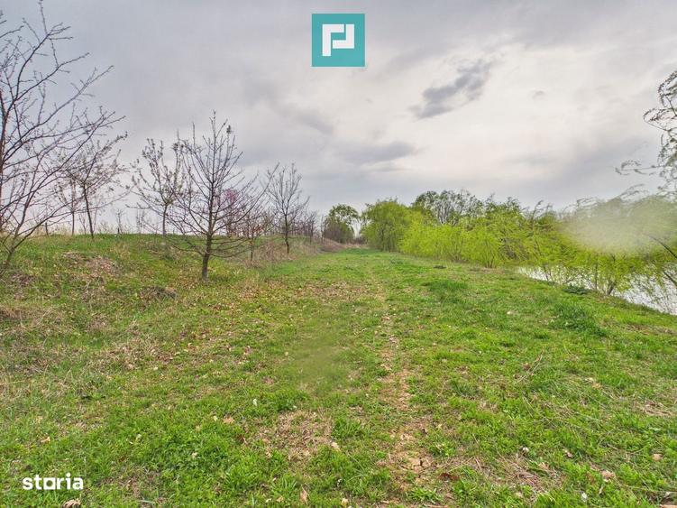 Teren 1 ha cu balta populata Alio? (Ma?loc) - 7