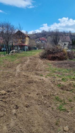 Teren de vanzare - 4