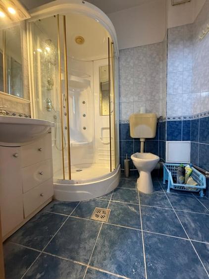 Casa individuala, 7 camere, parter+mansarda, 220 mp - Braytim - 12