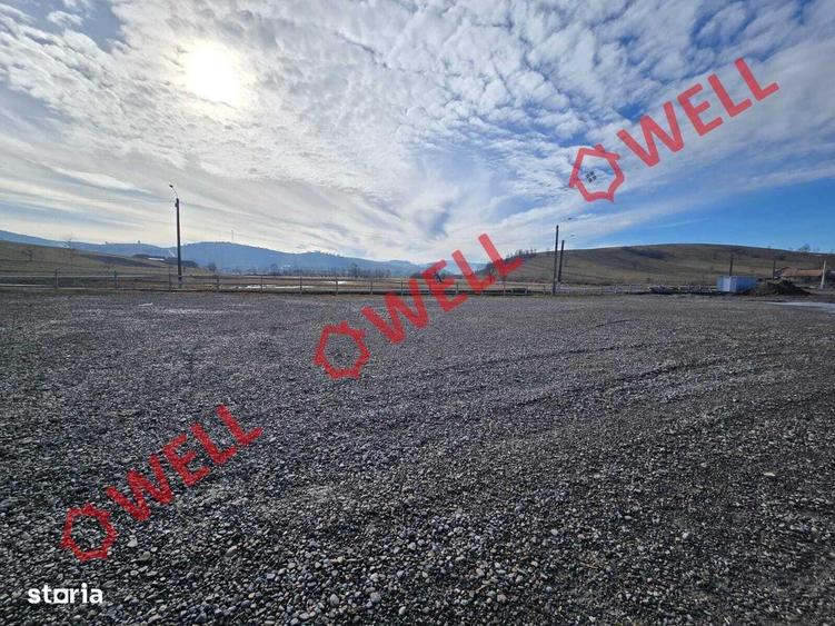 Teren de vanzare in comuna Barcani! - 2