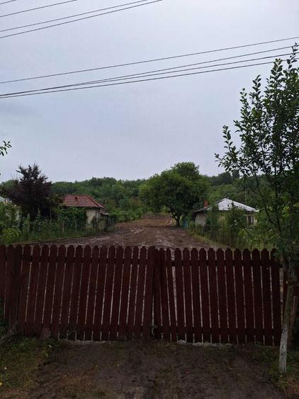 Teren intravilan 2.500 m.p. - Comuna Gornet - Crico , Jud Prahova - 3