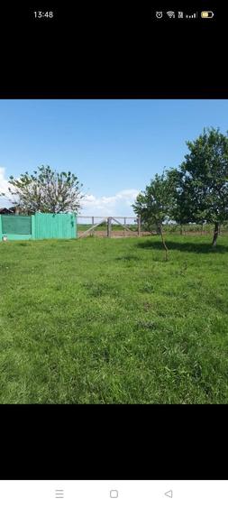 Vand casa cu gradina - 3