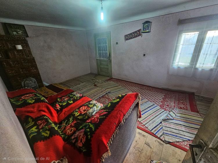 Exclusivitate! Casă cu teren generos în Sat Olteni, Com.Teișani - 23