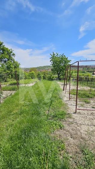 Casa cu poveste si potential – locul perfect pentru un nou inceput in Seica Mare - 18