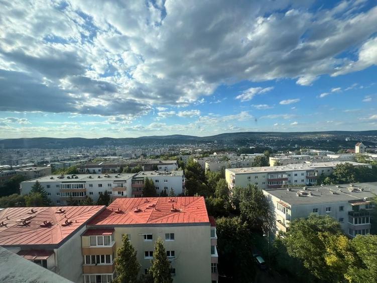 Apartament 2 Camere de Inchiriat | UMF | USAMV | L. Pasteur | Video La Cerere - 7