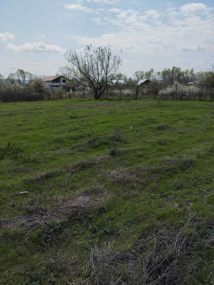 Teren de vanzare: situat pe Calea Craiovei catre Bistrita cu o suprafata de 5000 mp - 6