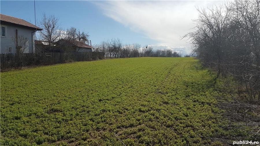 Teren de 3800 mp, în Plopșoru