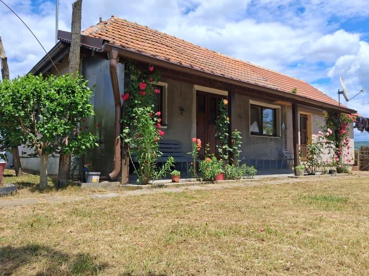 Casă cu 3 camere în Bacea