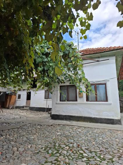 Casă cu 4 camere în Valea Siliștii