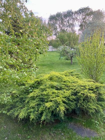 Vilă | 7 Camere |  Ds+P+1E+M | Teren 1346mp | Ieșire la Lac | Comuna Berceni - 9