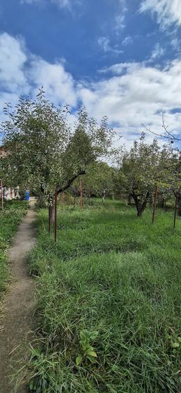 Casa Crevedia la doar 20 km de Bucuresti - 2