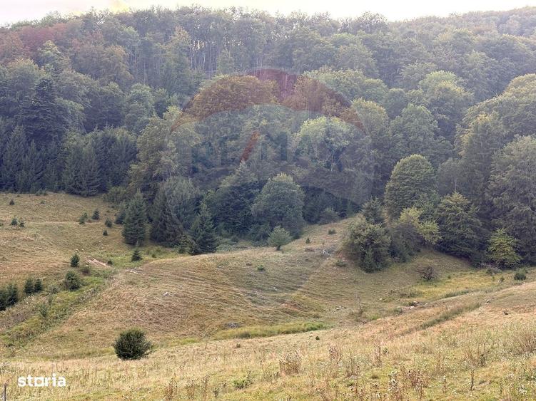 TEREN EXCLUSIV PENTRU INVESTI?IE IN ZONA DE AGREMENT BRA?OV, DN 1E - 1