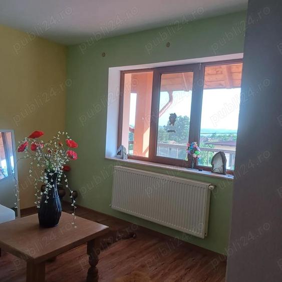 Vanzare vila Stefanesti Arges - 6