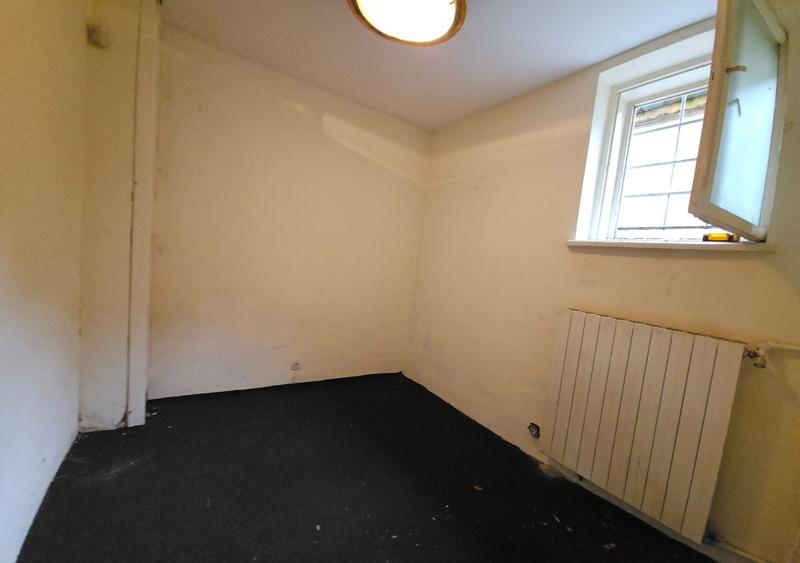 Sala Palatului Cismigiu, 124mp, centrala, demisol inalt, DEOSEBIT, solid, subsol - 9