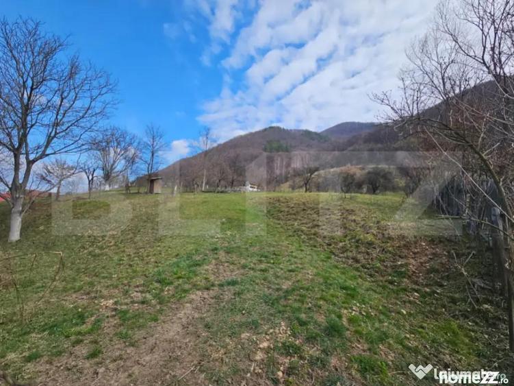 Teren intravilan generos de 4000 mp, cu priveli?te montana - 2