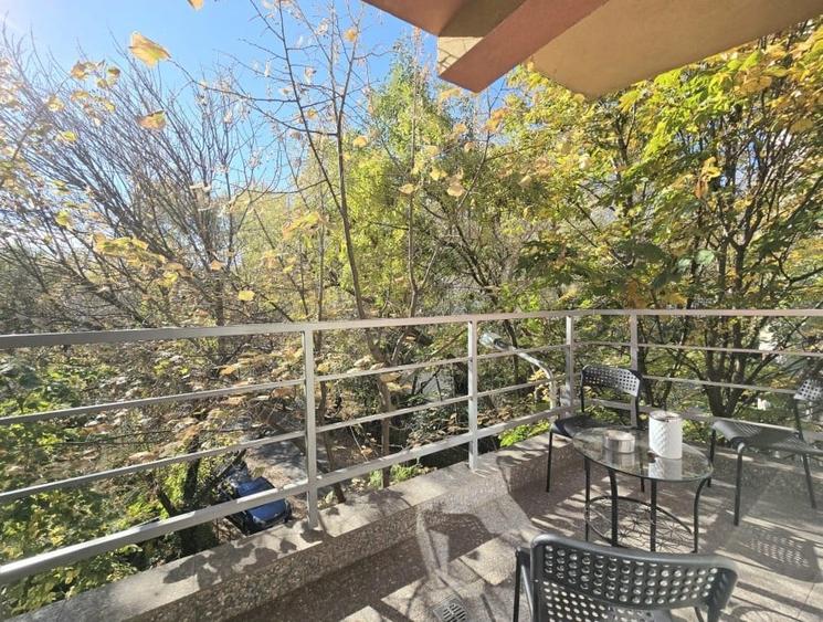 Duplex 6 camere Herastrau - 3