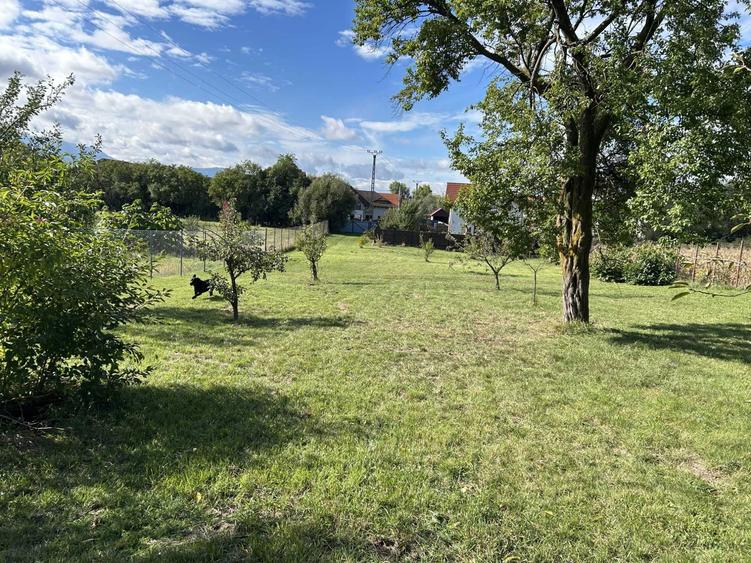 Gradina din Cetate un colt de natura si istorie, doar al Tau - 2