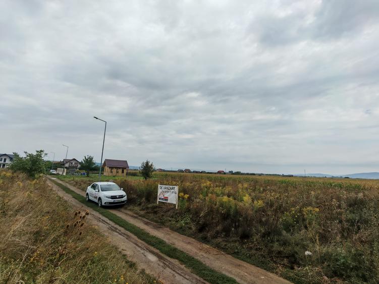 Teren de Casa - Harman - Brasov - 5