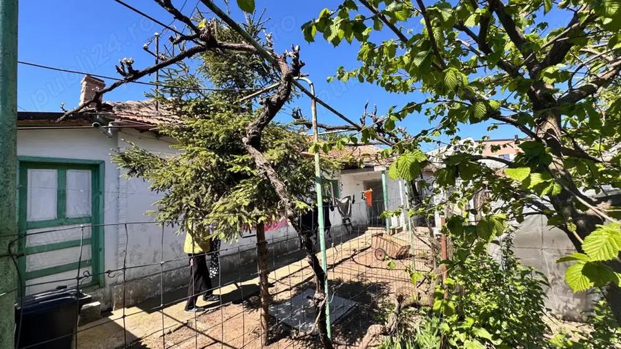 De vanzare Casa batraneasca viile noi - 3