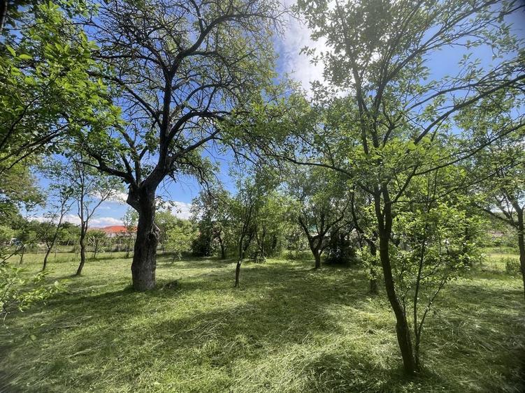 Teren 1150mp la tara, deschidere la 2 stazi - 1