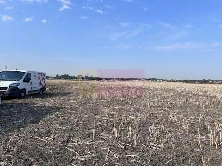 Teren Domnesti strada Ciocarliei. - 3