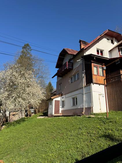 Apartament la curte Predeal - 2