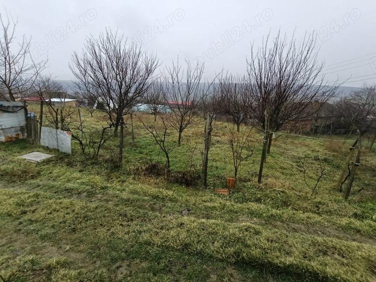 vand casa batraneasca sat Cochirleni langa Cernavoda 3200mp - 5
