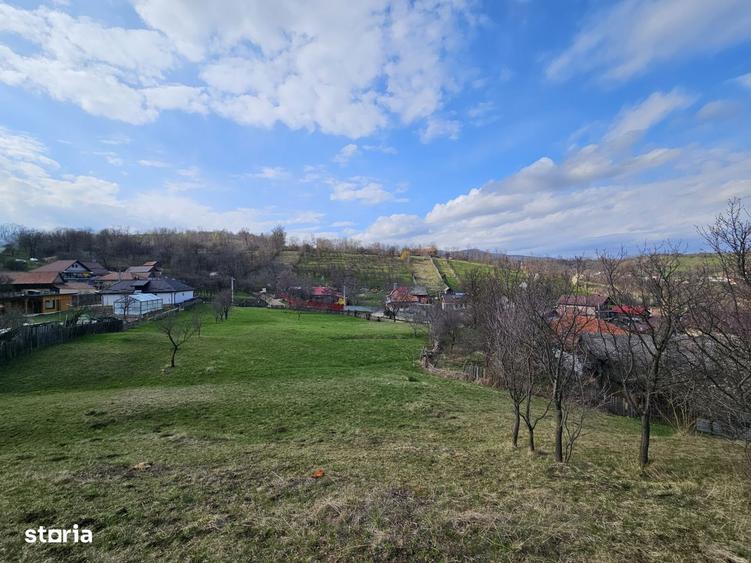 Teren intravilan Comanesti Bacau cu utilitati - 7