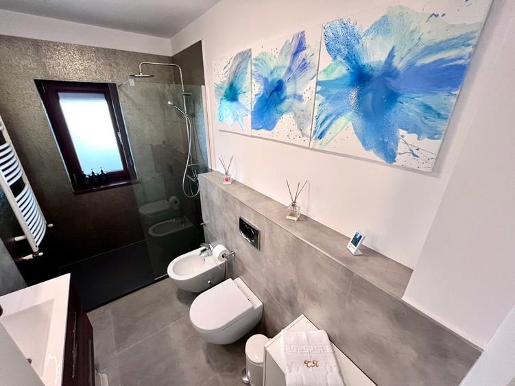 Ultracentral Spatios cu Vedere Superba - 4