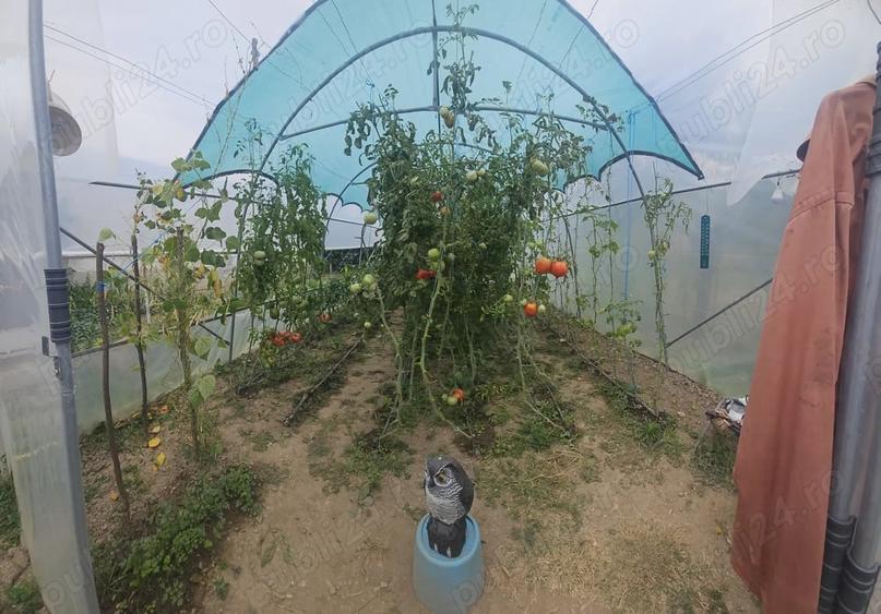 Casă cu 4 camere cu Teren 1100 Mp în Voroveni