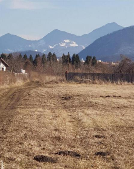 Teren 511 mp Bartolomeu - 4