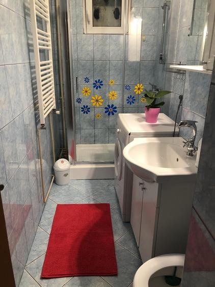 Apartament cu 1 camera, zona Alexandru Cel Bun - 7