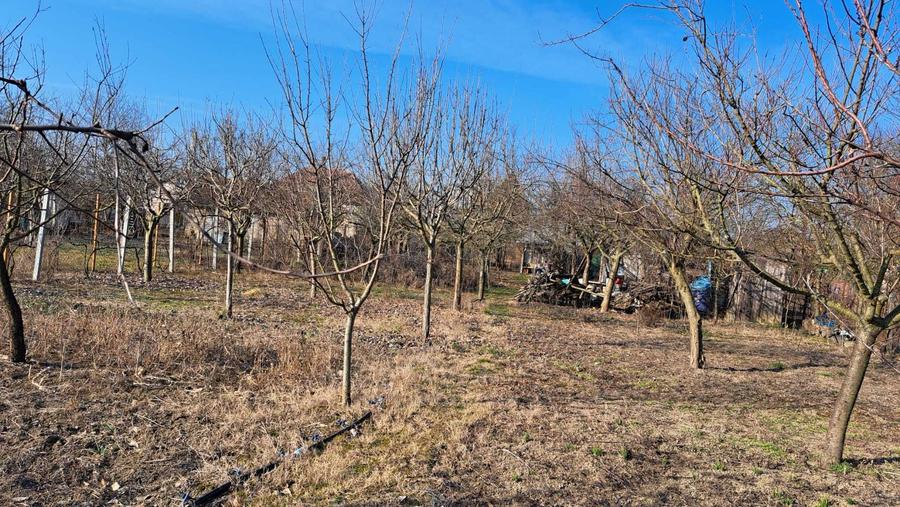 De vanzare loc de casa Sat Niuved, Comuna Tamaseu - 8
