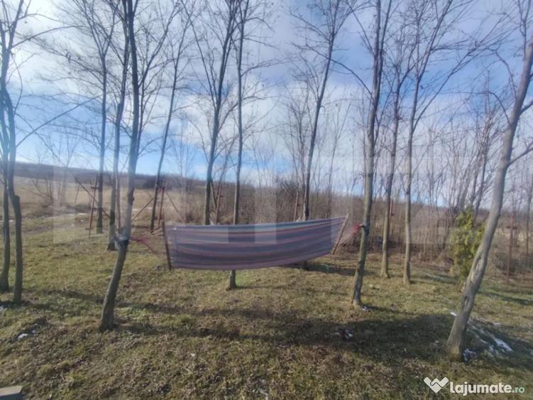 Teren intravilan cu cabana, 700mp, Ciurea - 1