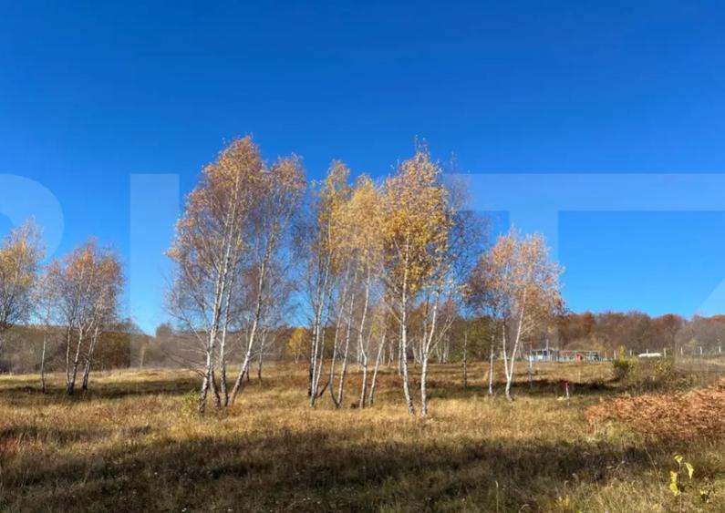 Teren construibil de vanzare, zona casele Micesti - 2