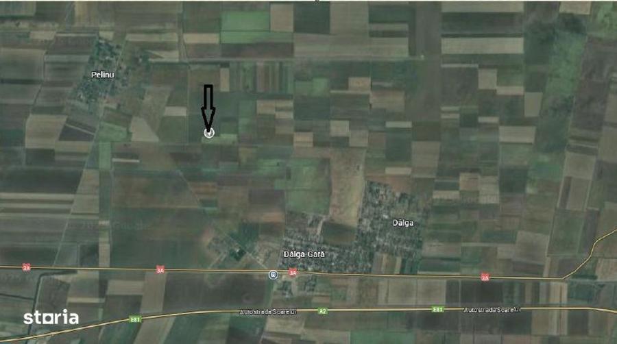 Cota 1/2 teren extravilan. Loc. Dor Marunt, Jud. Calarasi - 3