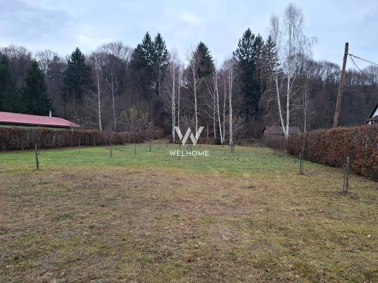 Teren deosebit pozitionat, cu livada, langa padure,  pe Valea Avrigului - 5