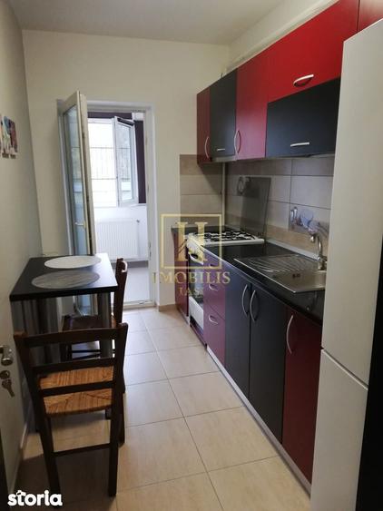 Apartament 1 camera Dec 40 mp. Bucium 300 euro - 4