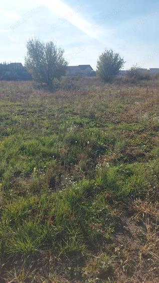 Teren intravilan Dumbravita , Creanga Profi Super - 2