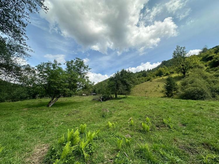 Teren 2 hectare pe Valea Ariesului, zona Scarita-Belioara, pret oportun 2 Eur/mp - 9