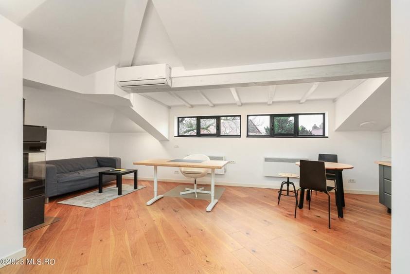 COTROCENI-GRADINA BOTANICA STUDIO LA CHEIE, 33 MP! - 4