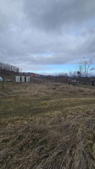 Teren de vanzare Copacelu - 4