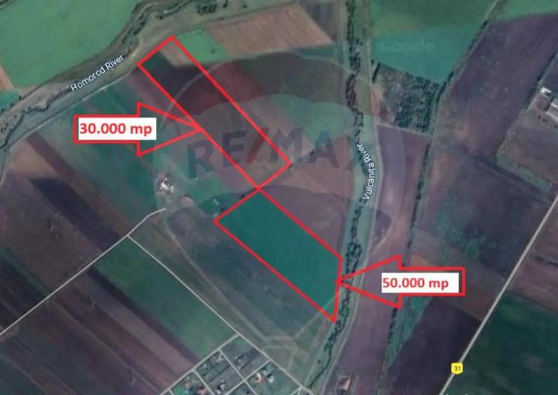 Teren de vanzare Halchiu 80.000 MP - 3