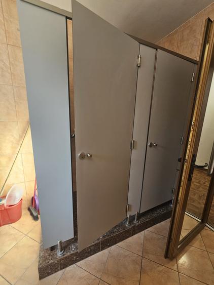 Proprietate speciala Dumbravita - casa individuala !! - 4