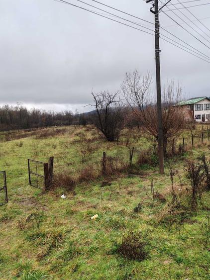 Teren de vanzare in Costesti,Valcea - 5