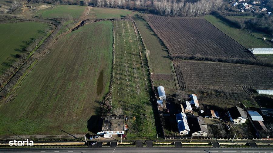 Vanzare teren 9654 mp, deschidere 27m, comuna Dobra, sat Dobra - 7