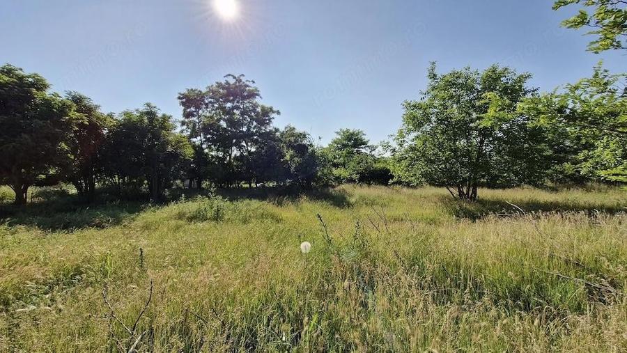 Teren intravilan 2.400 mp | Dalga - Dor Marunt | 1 ora de Bucure?ti - 2