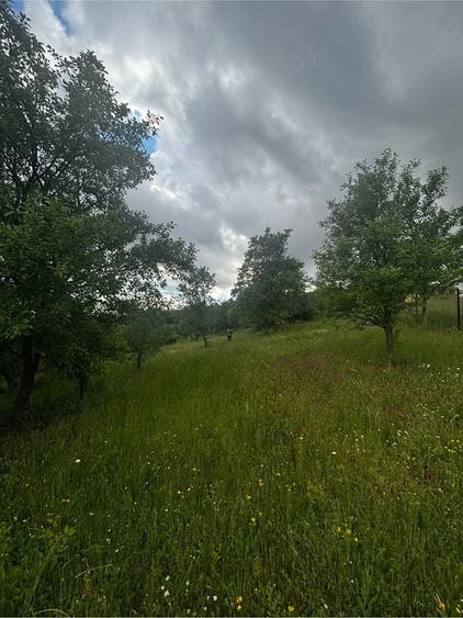 Vand teren intravilan - 9