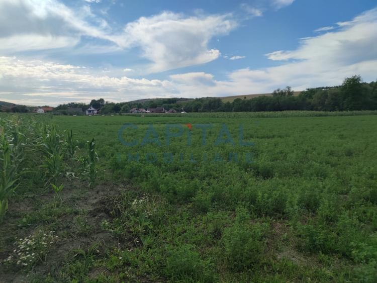 Comision %! Teren intravilan 22 400 mp, suprafata plana, sat Fundatura Cluj - 2