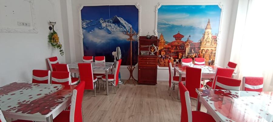 Vila interbelica cu terasa-restaurant in functiune zona Blv Marasesti Bucuresti - 4